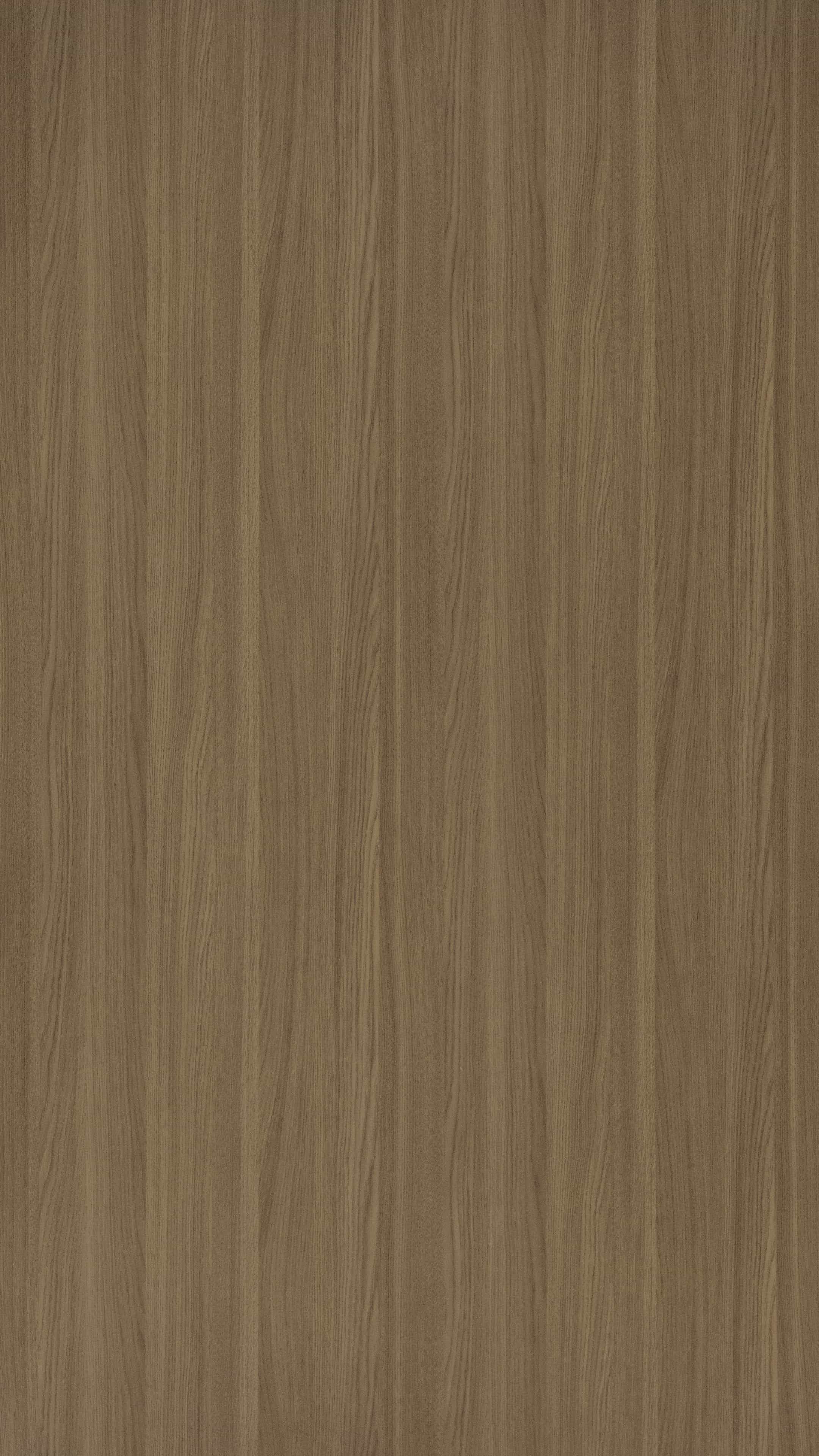 2804
